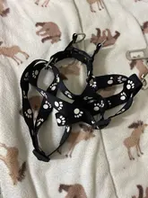 Paw Print Small Dog Harness and Leash Soft Nylon Pet Walking Harness Vest For Chihuahua