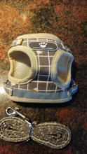 Arnés de malla transpirable para perro, conjunto de arnés y correa ajustable para perros pequeños, Collar reflectante para mascotas, accesorios para perros
