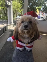 Christmas Pet Dog Cat Costumes Funny Santa Claus Costume For Dogs Cats Winter Warm Dog