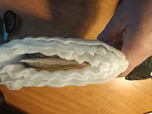 Led-Strip-Light Dimmer-Decor Rope-Lamp 2835 Smd Flexible Outdoor High-Brightness Waterproof