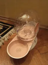 Water-Bowl Fountain Snails Pets-Water-Dispenser Bubble Cat Drink Automatic Large 