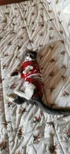 Cute Cat Sweater Costume Winter Warm Pet Clothes Cat Clothing for Cats Katten Kedi Giyim