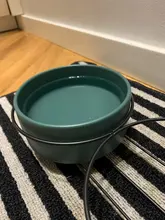 Cuenco de cerámica doble para alimentación de perros y gatos, dispensador de agua con soporte elevado, Gato, producto # P007