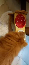Pet-Supplies Dish-Bowl Raised Food-Water-Feeder Wooden Ceramic Stand Table Pets Dog Cat