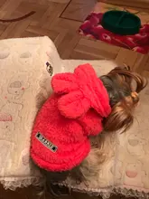 Ropa de Gato caliente para mascotas, abrigo, chaqueta para perros pequeños, medianos, gatos, Chihuahua, ropa de Yorkshire, disfraz rosa, S-2XL