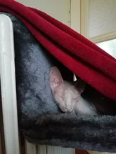 Pet Cat Animal Hammack Luxury Radiator Bed Hanging Winter Warm Fleece Basket Fleece