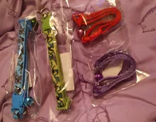 Collar de seguridad delicado para perros, correa de nailon, ajustable, a la moda, campana de camuflaje, gran oferta