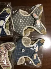Perro pequeño conjunto de arnés y correa chaleco para gatos mascota Arnés con Bowknot acolchado de malla Pet pistas para pequeño cachorro perros Chihuahua Yorkie