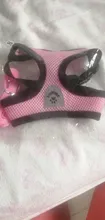 Arnés para perros de nailon con correas básicas, accesorio para mascotas, Collar para perro pequeño de raza Chihuahua, suministros para mascotas, otoño