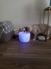 2.5L fuente del gato automático, cuenco para beber agua, dispensador de agua para perros y gatos, fuente de bebida automática silenciosa, USB eléctrico