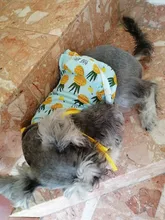 Vestido bonito de fruta para perros, Ropa de verano para pareja de mascotas, chaleco para perros pequeños, Chihuahua