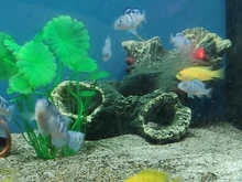 Ornament Rockery Aquarium-Decoration Fish-Tank Cave Landscape Pet-Supplies Mountain-Hiding