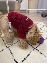 Ropa para perros de lana y Chihuahua, Ropa de invierno para mascotas pequeñas y medianas