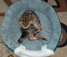 Bed Kennel Cat-House Hoopet Cave Home Dog-Puppy Warm for Teddy