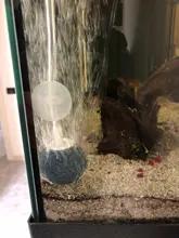 Pump Oxygen-Supply Aquarium Air-Stone Fish-Tank Hydroponic Increasing Great 2cm/3cm/4cm/5cm