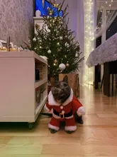 Christmas Cat Clothes Halloween Clothes For Cats Costume New Year Outfit Pet Cat Clothes