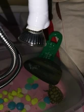 Light-Socket Base Desk-Lamp-Holder Gooseneck Clip-On-Cable Us-Plug On-Off-Switch Flexible