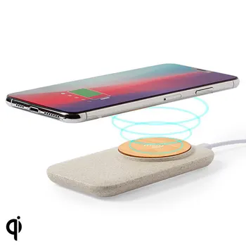 

Wireless Qi Charger with USB Ports 146536 Bamboo Wheat straw Abs