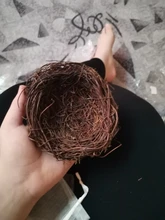 Nest Bird-Cage Prop-Bird Photography-Props Vintage-Decoration Optical-Store Creative