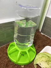 Nuevo reptil bebedor de agua dispensador comida lagarto de plato redondo de la botella de la bebida