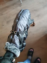 Abrigo impermeable de invierno Para Perros, chaqueta cálida Para cachorros, Ropa de mascota chaleco, Ropa Para Perros pequeños, medianos, grandes, Ropa Para Perros