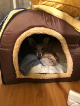 Cama para mascota cálida desmontable para invierno, caseta para dormir de perro, nido de gato suave para gatito y cachorro, cueva cómoda, diseño de lazo, lavado a mano