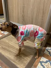 Dogs-Pajamas Clothing Shirt Puppy-Jumpsuit Pomeranian Chihuahua Dog-Coat Pet-Dogs Small