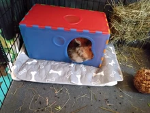 Bed-Mats Dog-Urine-Pad Puppy-Pee Pet-Training Waterproof Reusable for Usa-Stock Fast-Absorbing-Pad-Rug