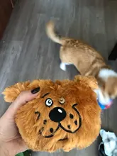 Ball-Toys Entertainment Puppy Interactive-Bird Plush-Giggle Crazy Automatic Electronic