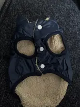 Chaqueta de perro pequeño para invierno, chaleco impermeable para cachorro, ropa para mascota de algodón caliente, atuendo para perros pequeños y medianos