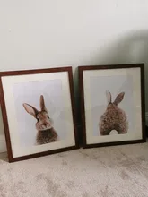 Minimalist Painting Poster Picture Room-Decor Tail Wall-Art Nursery-Print Baby Bunny