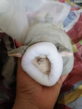 Pet-Bed House Hamster Pig-Cage Guinea Small Animal Warm Rat/hedgehog Nest Winter Cotton