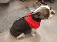 Dog-Jacket Puppy Dogs French Bulldog Waterproof Vest Hoodies Pet-Dog Small Winter Large