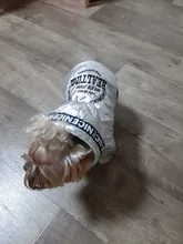 Jumpsuit Pet-Costumes Cotton-Padded Silver-Color Dogs Waterproof Winter Fashion for Hoodie