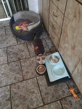 Dog Clothing Jacket Pullover French Bulldog Fleece Shirt Pet-Coat Puppy Camouflage Warm