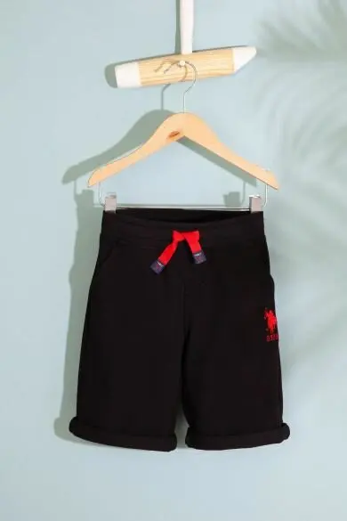Uss. POLO ASSN. Обычные шорты
