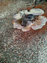 Anillo de moda FDLK para hombre, anillo de doble águila, Imperio Ruso, Punk, Color dorado, brazos del anillo grande ruso