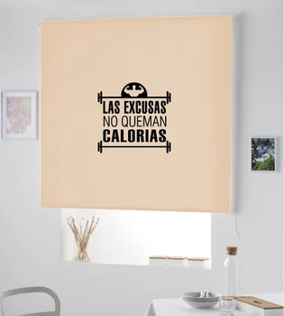 

Blind Iroa with themed corporate/Excuses! ROLLER BLINDS TRANSLUCENT! (BEIGE 100X175)