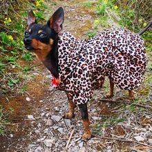 Abrigo con tutú y estampado de leopardo para perros y cachorros ropa de invierno con capucha, chaqueta reversible para perros pequeños