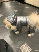 Ropa de invierno para perros pequeños, abrigo cálido para cachorros, chaqueta impermeable con capucha, monos para Chihuahua y Yorkie
