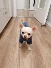 Sweater Coat Pets Chihuahua Puppy Gentle Para Medium Dog Knitted Small for Warm Ropa