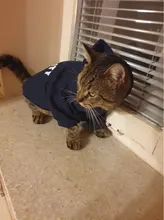Seguridad ropa para gato mascotas abrigos para gato chaqueta sudaderas con capucha para los gatos traje cálido ropa para mascotas ropa de conejo Animales Mascotas traje para perros 30