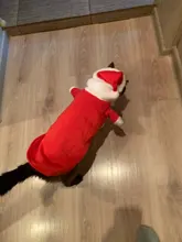 Christmas Cat Clothes Halloween Clothes For Cats Costume New Year Outfit Pet Cat Clothes