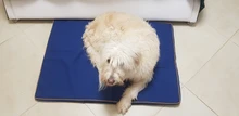 Cama grande para perro, colchoneta de espuma viscoelástica, transpirable, colchón ortopédico de fondo Oxford, para mascota mediana grande pequeña