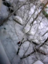 Cámara endoscópica Wifi F99 HD720P, Cable rígido suave de 8mm, 6 LED, IP67, boroscopio de inspección de coche resistente al agua para Iphone, Android y Windows