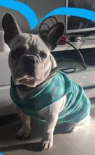 Vest Clothing Costume Pet-Jacket Fleece Doggy Puppy Animal Winter Warm for Soft-Plaid