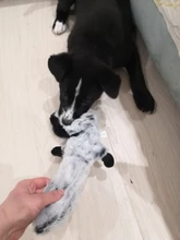 Peluche suave de cebra con sonido de tigre para mascotas, juguete para mascotas