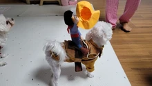 Novelty Halloween Dog Costumes Pet Clothes Cowboy Dressing up Jacket Coats for Dogs Funny