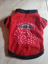 Ropa Para gato mascota, camisetas Para perros pequeños, accesorios, suministros Para mascotas, camiseta de manga corta Para Perro