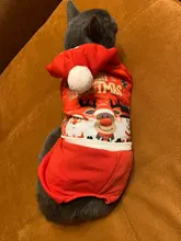 Christmas Cat Clothes Halloween Clothes For Cats Costume New Year Outfit Pet Cat Clothes